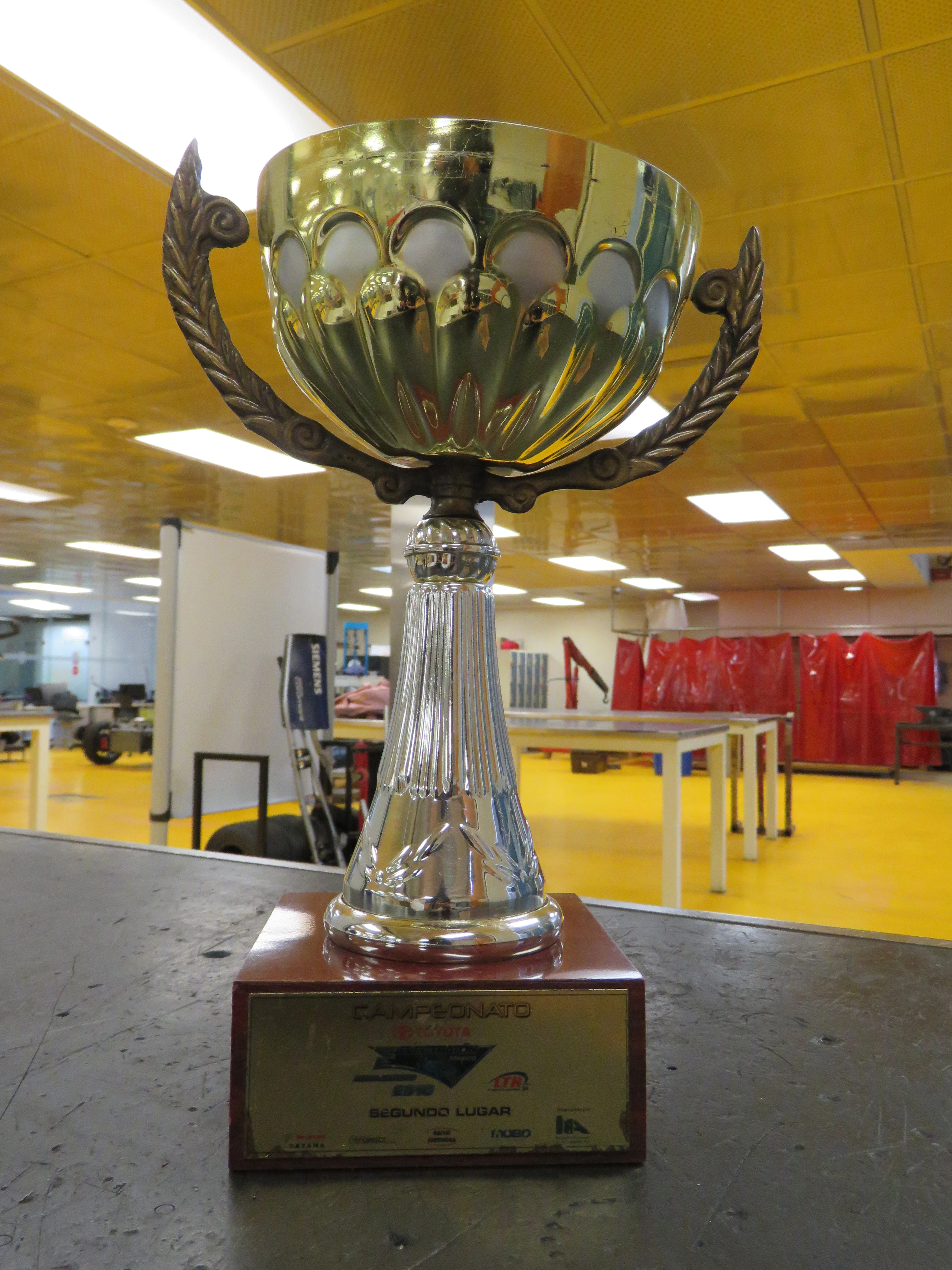 Subcampeón Nacional 2010